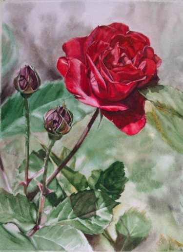 Rose by Danica Zivkovic