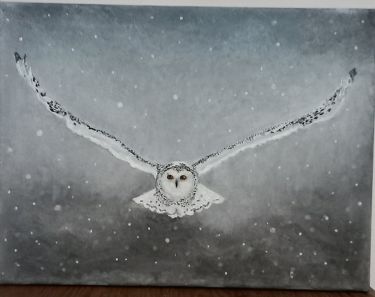 Snežna sova by Ril Hilda