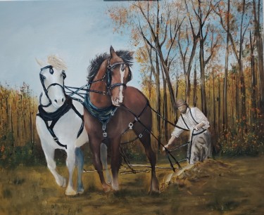 The first furrow by Maric Dejan