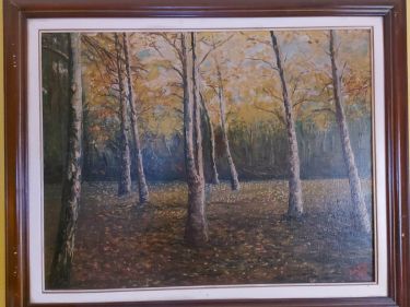 Birch trees in my area by Pesic Dago Dragan