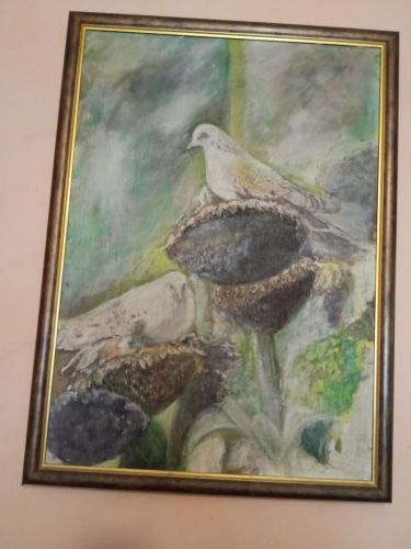 Ptice