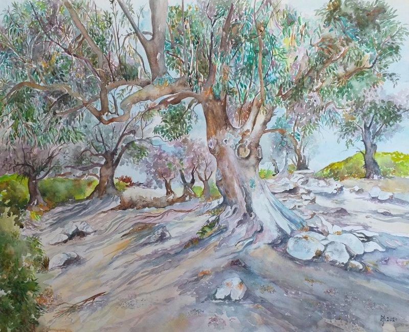 OLD OLIVES, Painting Mihajlovic Zoran
