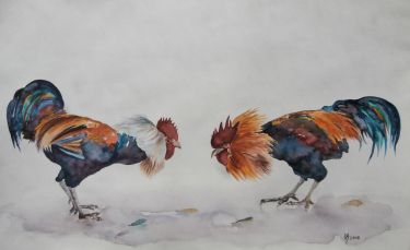 ROOSTERS FIGHT