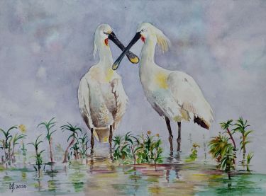 POND BIRDS