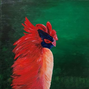 Rooster 