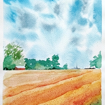 Žitno polje