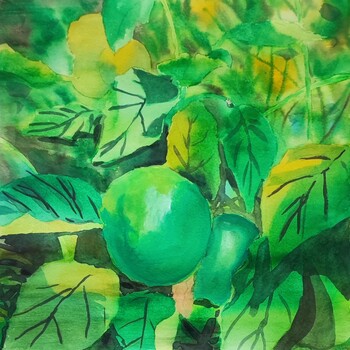 Apples from Krivaja,  by Dejan Živković