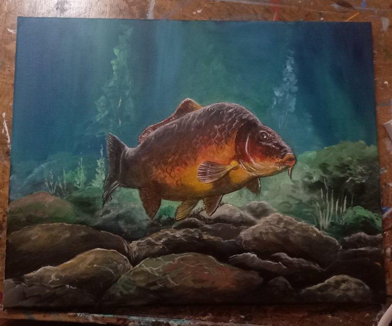 Šaran, Painting Branko Karanović