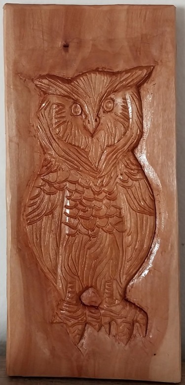 Owl by Ninitaa m