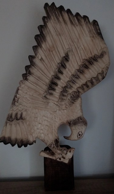 Eagle by Ninitaa m