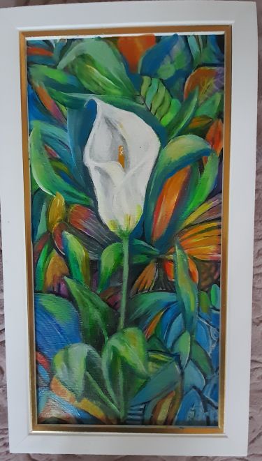 Proud Calla flower