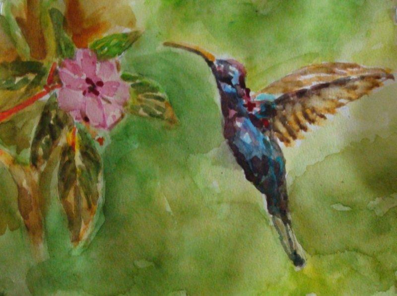 Hummingbird, Painting Nelson Chale Cuéllar