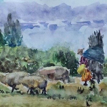 Shepherd in the Andes