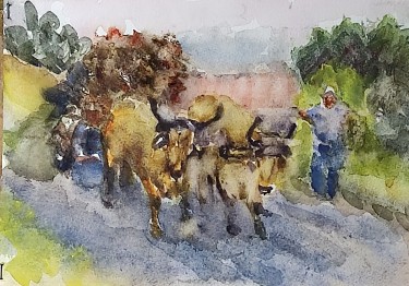 Ox cart