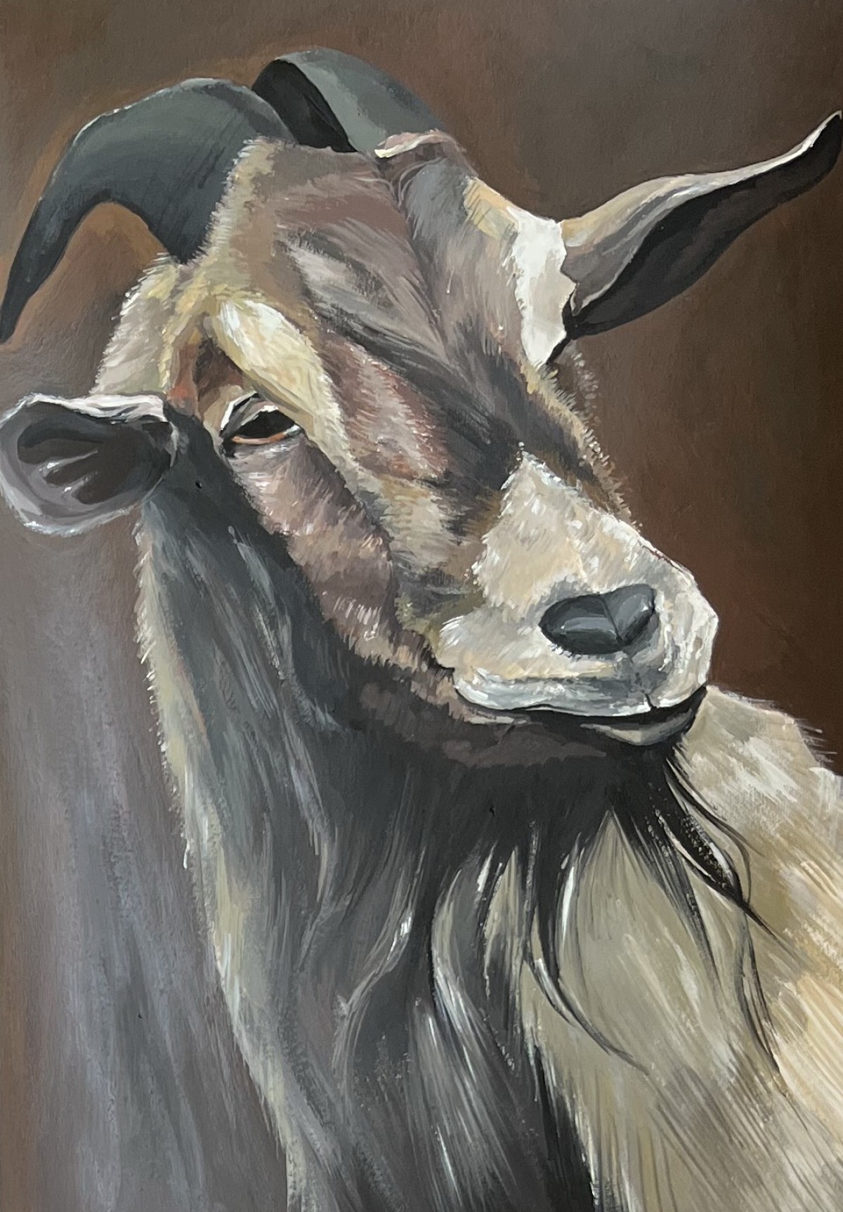 Portrait Of A Goat