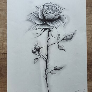 Flower by Ljiljana Kostic