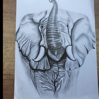 elephant by Ljiljana Kostic
