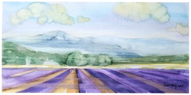 POLJE LAVANDE by Danijela Cverdelj