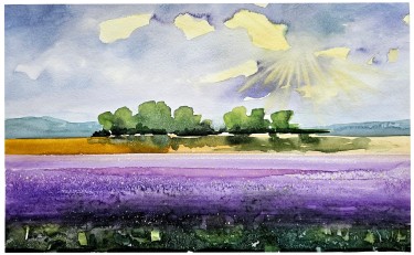 POLJE LAVANDE by Danijela Cverdelj