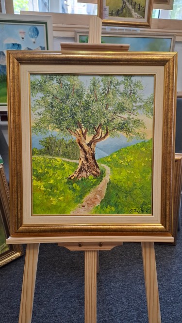 Olive tree by Olivera Krstovic