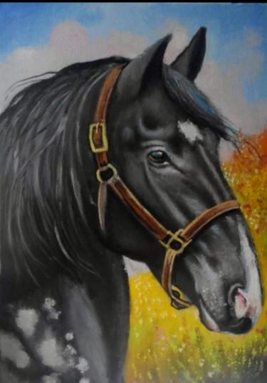Black horse by Ranko