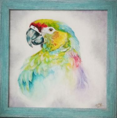 The parrot by Brankica Žuržulj