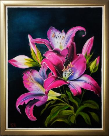 The Lily by Brankica Žuržulj