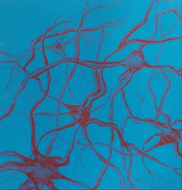 Neurons