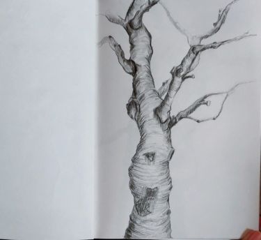 Trees 3,  by Antonina Mitić