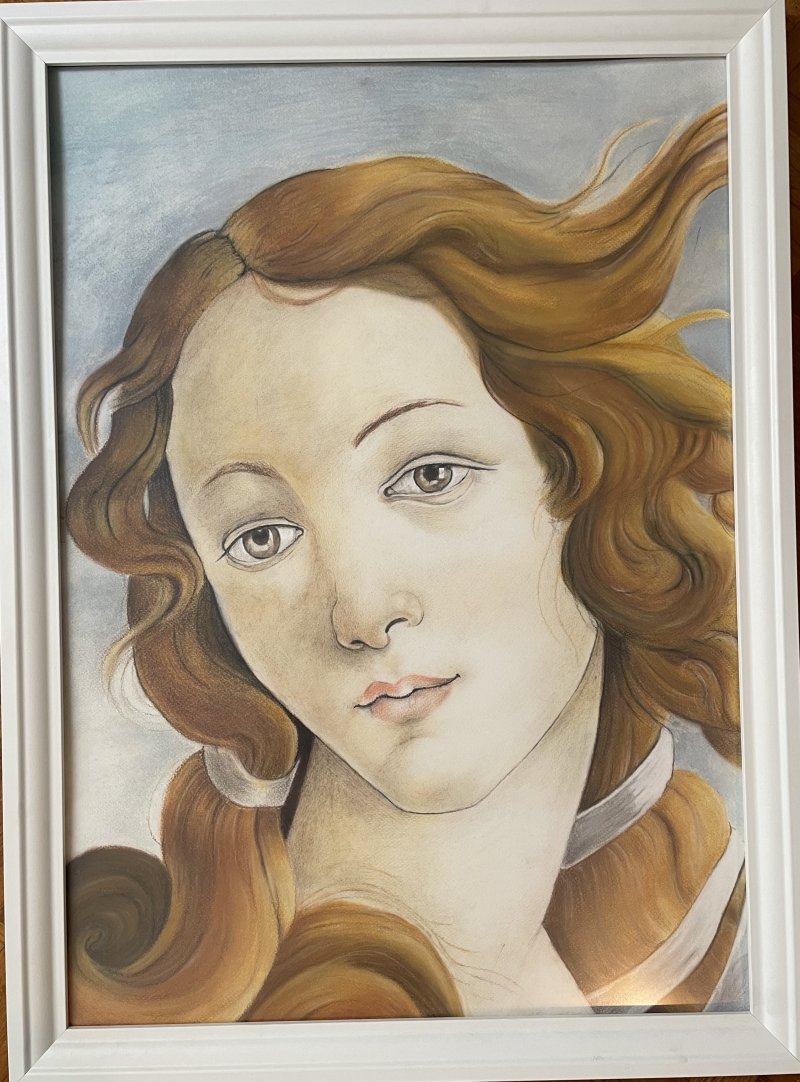 Reproduction of the painting The Birth of Venus by Sandro Botticelli