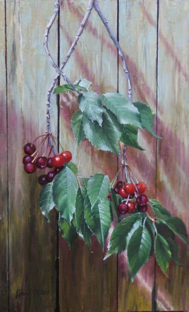 Cherry branch- oil on canvas 40x65cm