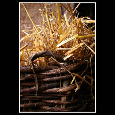 straw by ivan georgiev