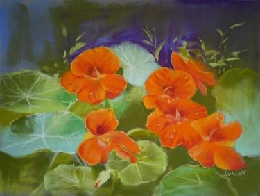 Nasturtiums in the Evening Garden by Alena Savchenko - Lukian
