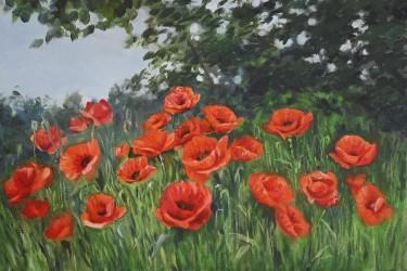 Red Poppies in the Sun by Alena Savchenko - Lukian