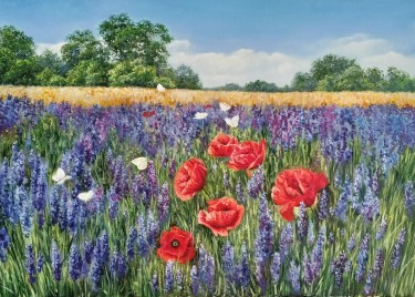 Poppies in Lavender Field by Alena Savchenko - Lukian