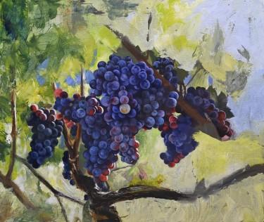 Vineyard Serenity by Alena Savchenko - Lukian