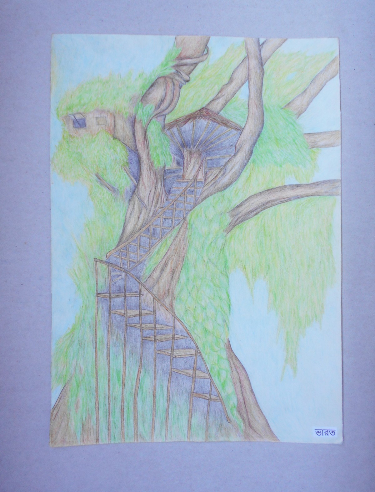 House in the wood