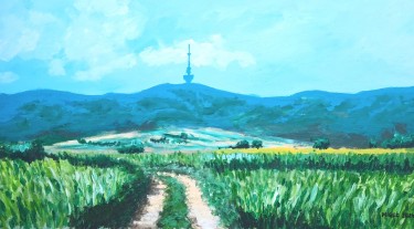 VIEW OF FRUSKA GORA by Migec Art
