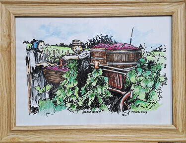 Nº - 39 - Grape harvest by Migec Art