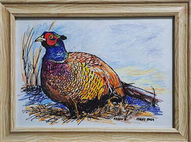 No - 49 - Pheasant