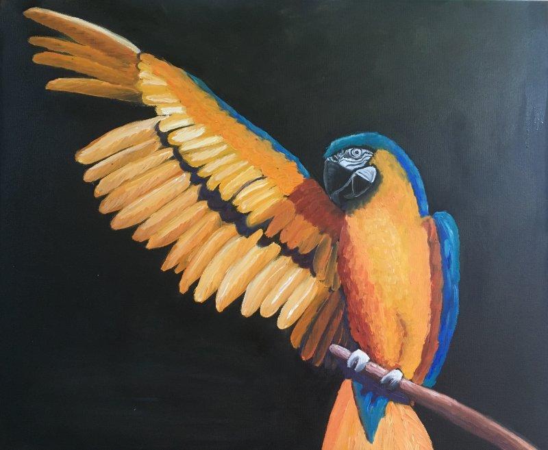 Parrot, Painting Mirjana Dokmanović