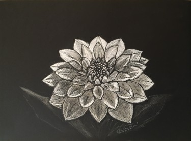 Dahlia by Mirjana Dokmanović
