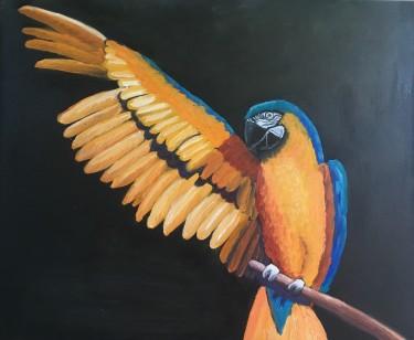 Parrot by Mirjana Dokmanović