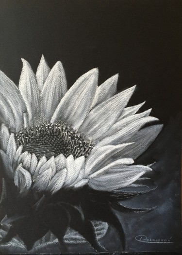 Sunflower by Mirjana Dokmanović