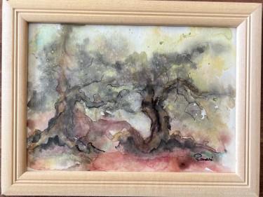 Two olive trees