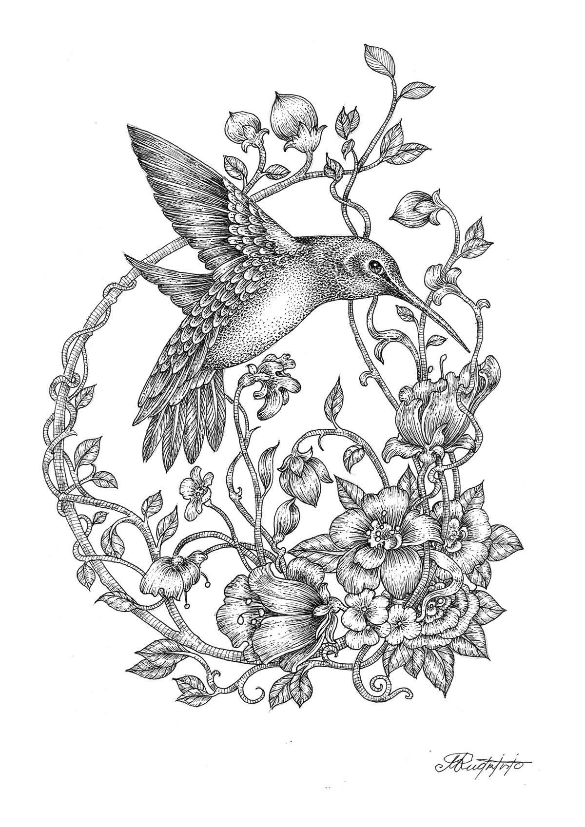 Hummingbirds