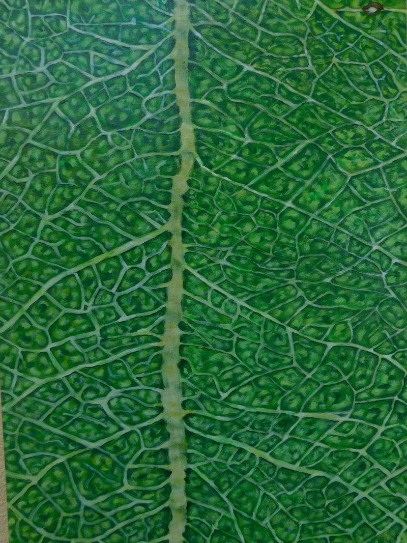 Pulse, Painting Milica Zakić
