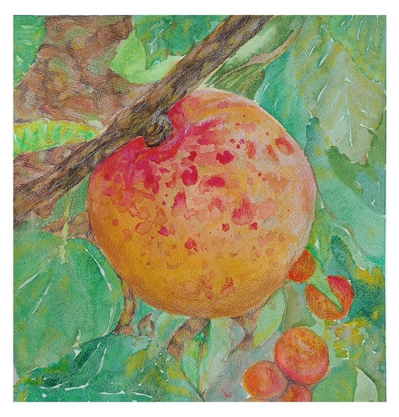 My mother makes better jam than yours, Painting Milica Zakić