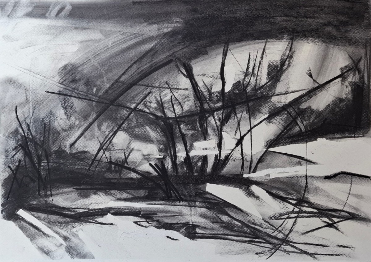 The charcoal tempest