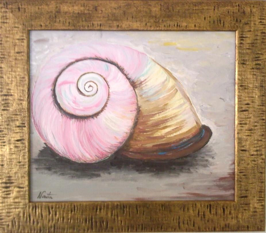 Snail Shell